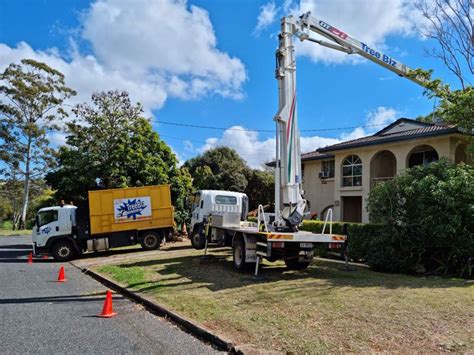 TreeBiz Tree Services .